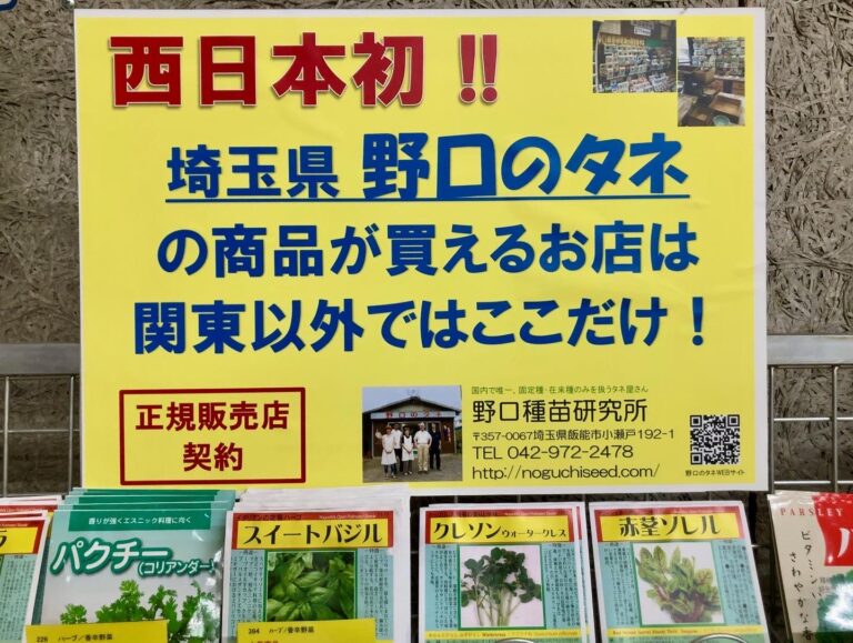 夏野菜のタネ販売開始