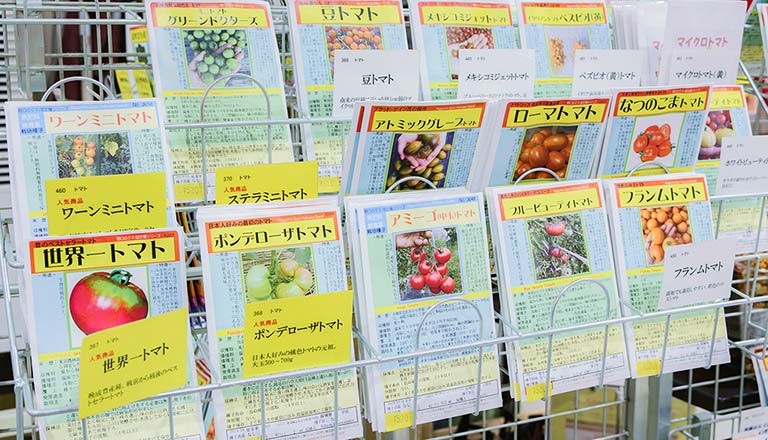 固定種の種コーナー